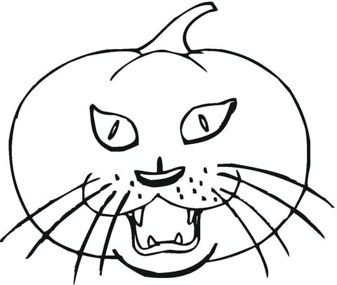 Pumpkin cat coloring book